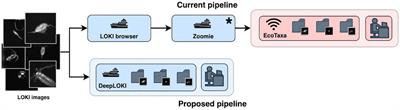 DeepLOKI- a deep learning based approach to identify zooplankton taxa on high-resolution images from the optical plankton recorder LOKI